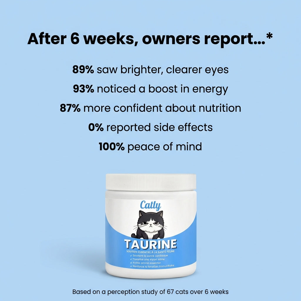 Protect your cat against invisible deficiencies with Catly™ Taurine